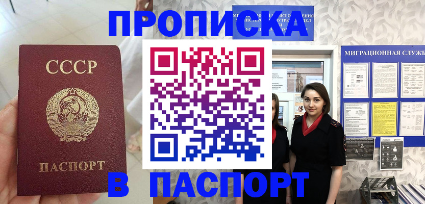 прописка 2025 в Михайловске